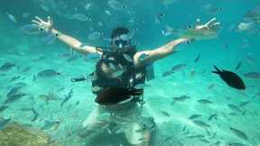 Antalya Scuba Diving Tour | Turkey