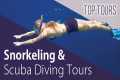 Snorkeling & Scuba Diving in