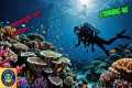 Scuba diving at Roatan's Moonlight