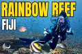 Scuba Diving RAINBOW REEF In Fiji!