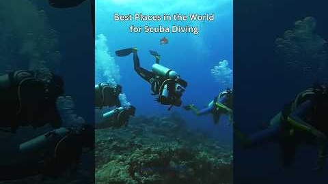 Best places in the world for scuba diving #scuba #scubadiving #thailand #travel #indonesia