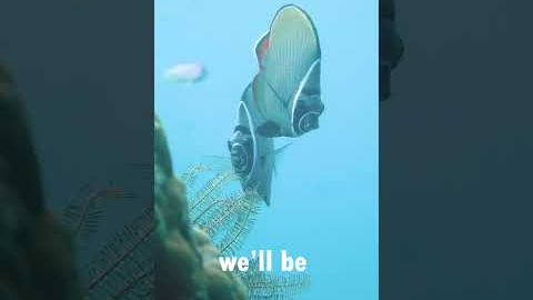 Scuba Diving in Havelock Island: Explore the Underwater Paradise of the Andaman!