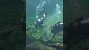 How to scuba dive Blue Spring State Park in Florida