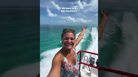 🤿✈️ Which one would you choose? #belize #bluehole #diving #flying