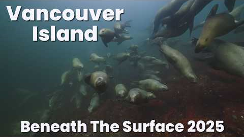 Vancouver Island Beneath the Surface | 2025 Scuba Diving Highlights