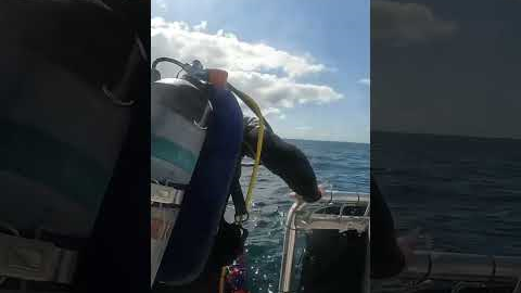 #travel #adventure #ocean #live #scuba #dive #underwater #explore #outdoors #scubadivediver #yolo