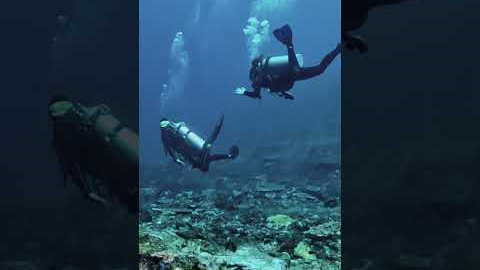 Komodo Dive Trip with La Galigo Liveaboard