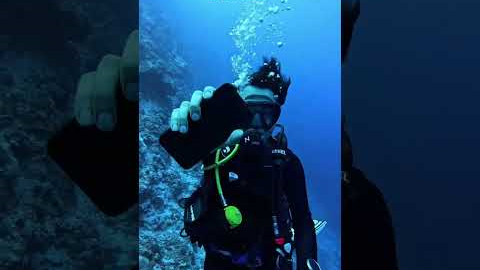 Scuba diving at Netrani island @Murdeshwar#scuba #netraniisland #scubadivingtravel #scubatravel