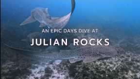 Scuba Diving Julian Rocks with INCREDIBLE Marine Life -  Byron Bay - 4K