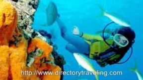 Scuba Diving | Travel Directory, Travel Information and Resource