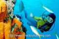 Scuba Diving | Travel Directory,