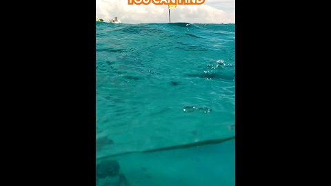 Dive into why Clifton Heritage Park is one of the best spots to snorkel in The Bahamas.