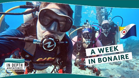 A Week of Diving in Bonaire!