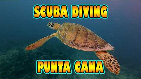 Scuba Diving in Punta Cana (Playa Blanca & 
