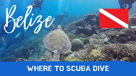 Scuba Diving in Belize - Top 13 Destinations