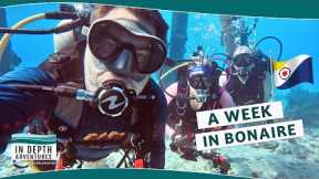 A Week of Diving in Bonaire!