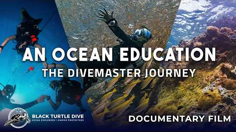 An Ocean Education: The Divemaster Journey (Full Documentary) Koh Tao, Thailand