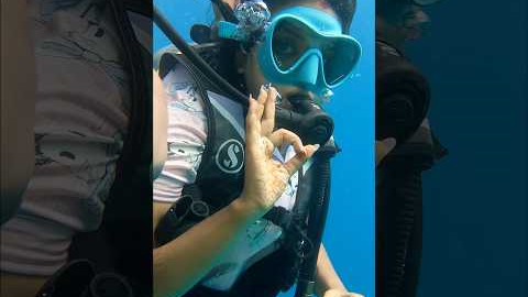 Diving into a whole new world 🌊✨