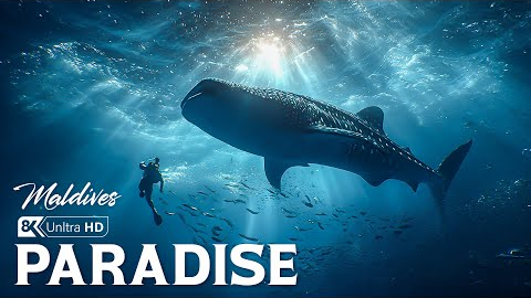 Unseen Paradise | Exploring the Untouched Diving Haven of Maldives and Beyond