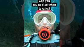 Scuba Diving in the rain can be magical -just avoid the lightning🤿☔️✨ #scubadiving #rain #sarcasm