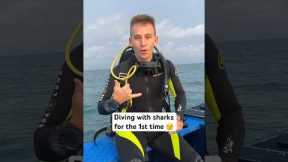1st time diving with sharks 🦈