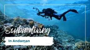 Scuba Diving in Andaman Havelock Island