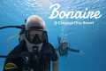 Exploring Bonaire: Chogogo Resort,