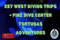 Scuba Travel Philippines – Diving