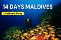 Exploring Paradise: 14 Days scuba
