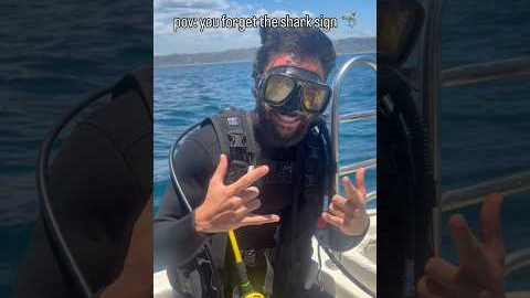 Fun fact I’m a certified scuba diver who hasn’t done this in 7 years