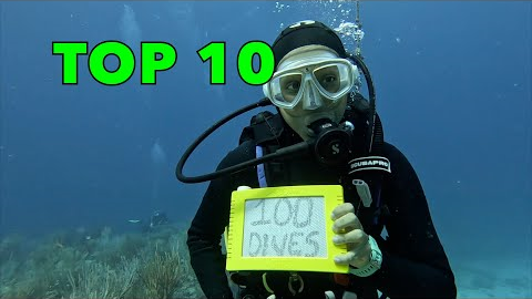 Top 10 St. Maarten Dive Sites / Part 1 - Week 11, 2025