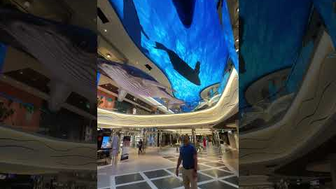 Experience the magic of MSC World Europa’s World Galleria 🐋✨