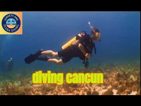 Exploring MEXICO'S Hidden Gem: Manchones Reef Scuba Adventure!