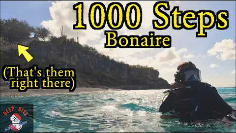 Bonaire's 1000 Steps Dive Site: Is It Worth Seeing?