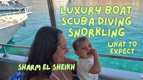 Scuba Diving for Beginners + Boat Day Trip in Sharm El Sheikh  WHAT TO EXPECT