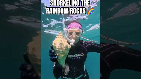 such a cool, colorful dive right off the beach 🪸 #ocean #diving #underwater