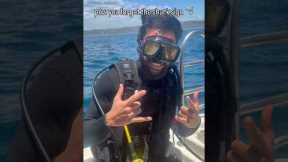 Fun fact I’m a certified scuba diver who hasn’t done this in 7 years