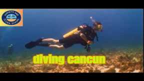 Exploring MEXICO'S Hidden Gem: Manchones Reef Scuba Adventure!