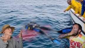 Divers React to Diver Decapitated by Great White Shark
