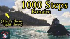 Bonaire's 1000 Steps Dive Site: Is It Worth Seeing?
