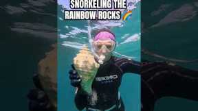 such a cool, colorful dive right off the beach 🪸 #ocean #diving #underwater