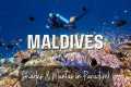 The Maldives: A Luxury Diving