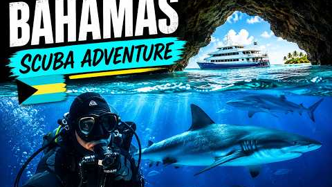 Week of Scuba Diving in Bahamas on a Liveaboard