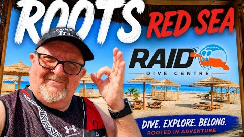 Red Sea SCUBA Diving Resort 🇪🇬 Roots Red Sea Review + Liveaboard, Safaga & Freediving experience