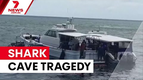 Fatal diving tragedy in Maldives Shark Cave | 7NEWS