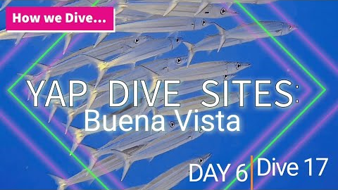 How we dive...Yap Dive Sites: Buena Vista 