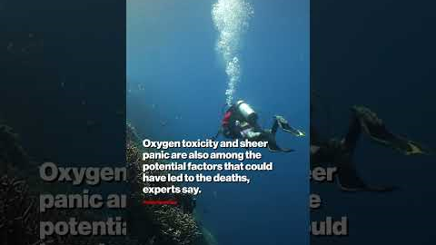 Oxygen Toxicity May Have Killed Maldives Divers: Experts #shorts
