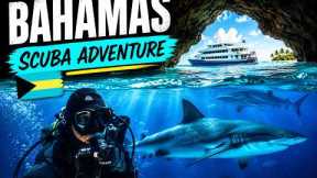 Week of Scuba Diving in Bahamas on a Liveaboard