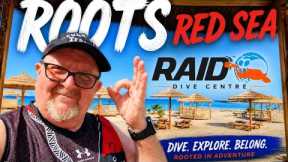 Red Sea SCUBA Diving Resort 🇪🇬 Roots Red Sea Review + Liveaboard, Safaga & Freediving experience