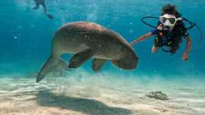 8yr Old Scuba Dives with Sea Dugong